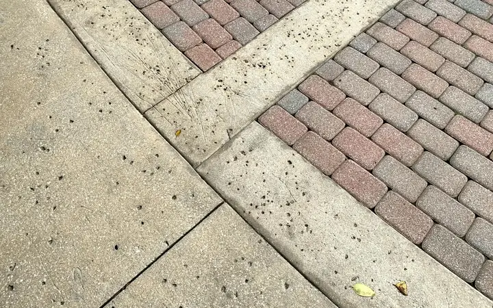 Concrete sidewalk slabs meeting a brick paver border