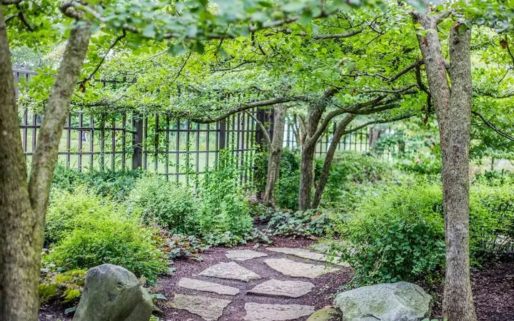 Flagstone garden path leading through planting to a gate