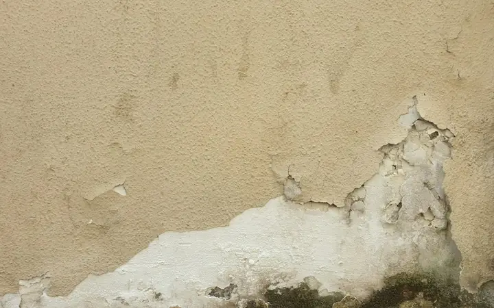 Damp-stained wall with peeling plaster from water damage